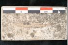 Foto (Detailansicht) von Laurinastrum dubium Unger (NHMW-GEO-2024-0188-8137)